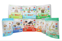 BrainStorm STEM Kit Subscription