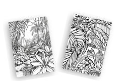 Colour the Classics