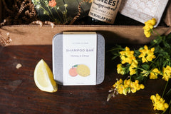 The Honey Bee Box Basic Edition