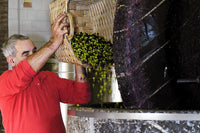 Aceto d'Olio