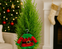 Lemon Cypress Cone with Elf