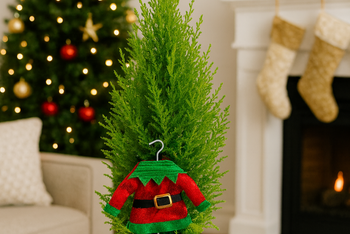 Lemon Cypress Cone with Elf