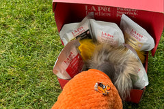 Gourmet Health Plus Box