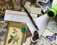 Neurospicy Writer's Box