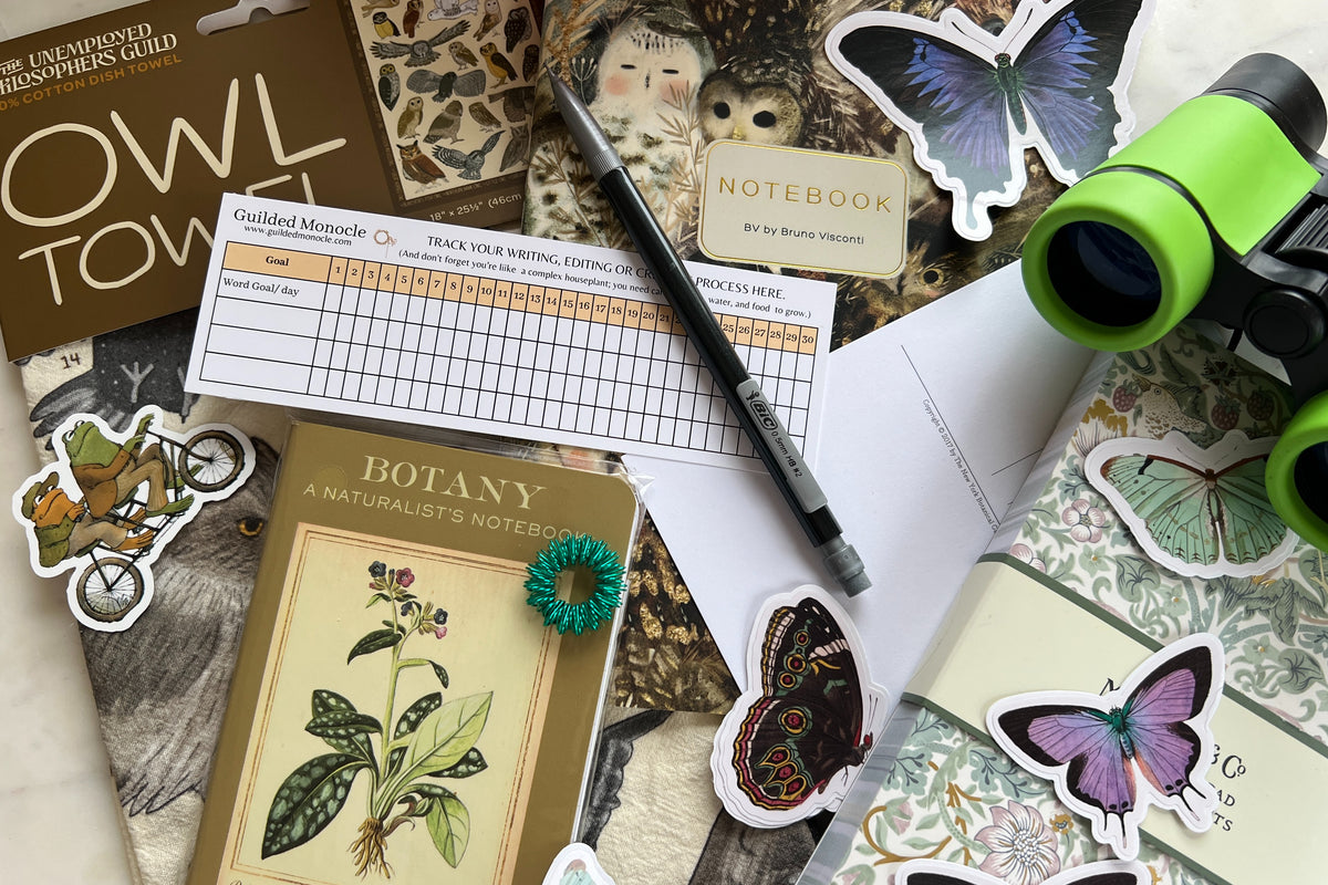 Neurospicy Writer's Box