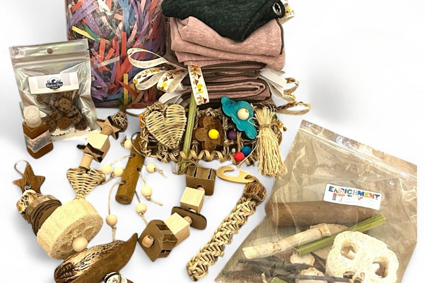 Monthly Rat Subscription Box - The Panda Box
