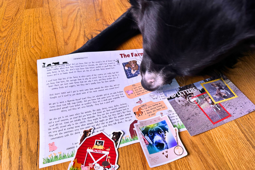Black and white dog Banjo is showing off a letter he wrote with a farm sticker, a sticker of him and a postcard