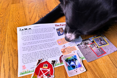 Black and white dog Banjo is showing off a letter he wrote with a farm sticker, a sticker of him and a postcard