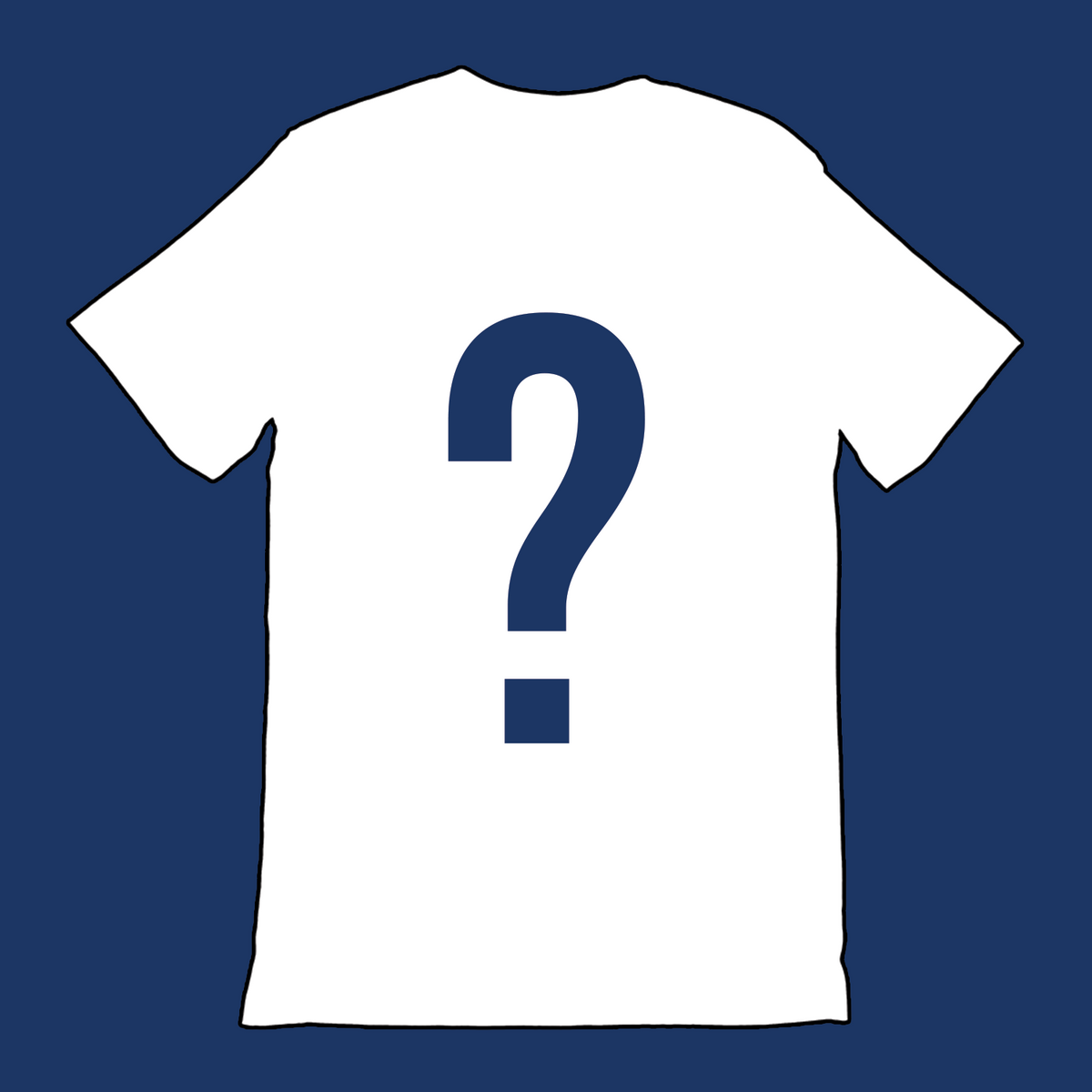 Mystery Shirt (a surprise LE shirt from our stock). Choose a size: