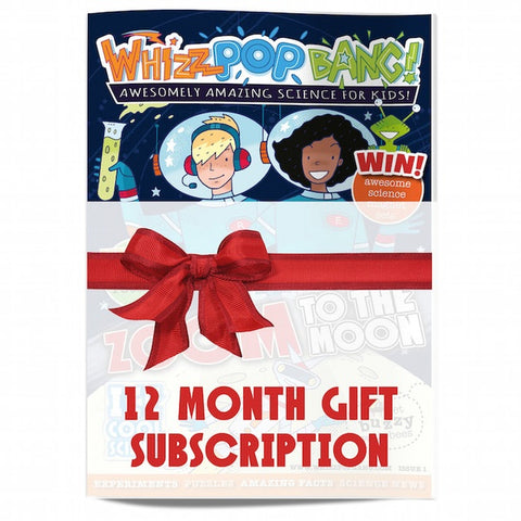 12 month gift subscription