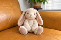 A favorite animal can begin a collection. Tell me what you love, and I will look for plush that fit your taste, not a generic assortment.
