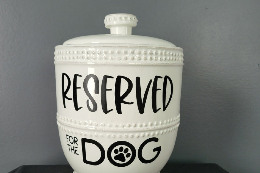 Dog Treat Jar
