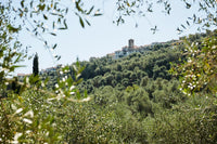 Give the gift of Italian extra virgin olive oil