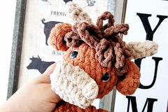 Crochet Toy Plushie Of The Month Club