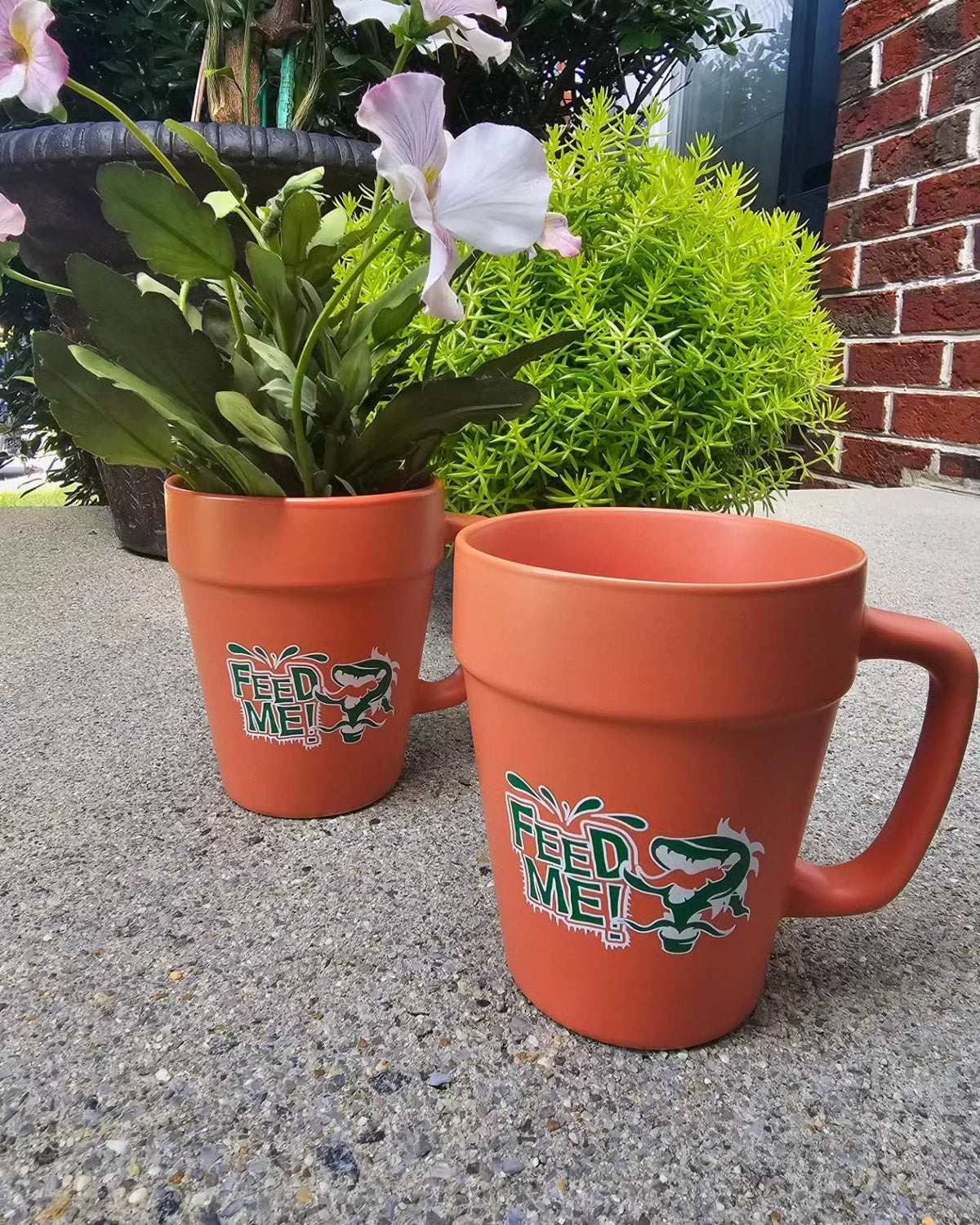 mugs as plant pots Little Shop of Horrors inspired Mug - Don't Feed The Plants Terra Cott