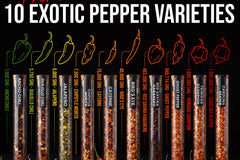 Kitsy Box Hot Pepper Flakes Chili Variety Set, 10 Pack - Monthly Refill Subscription