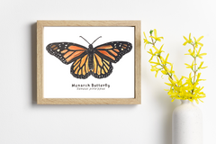Beautiful Nature Sketch Crate watercolor and ink Monarch butterfly framed in a natural wood frame next to yellow flowers.
