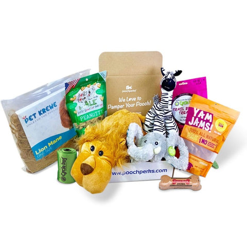 Pampered Pooch Box