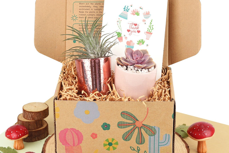 Thank you gift subscription boxes