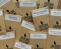 THE SUPER MEGA SUMMER SEED PACK