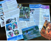 Examples of there letters with three postcards and multiple stickers showing puppy adventures. It is fun. 