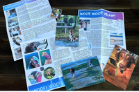 Examples of there letters with three postcards and multiple stickers showing puppy adventures. It is fun. 
