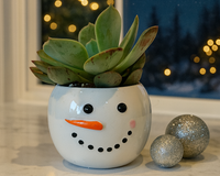 Tiny Tot Snowman with 2-inch Succulent