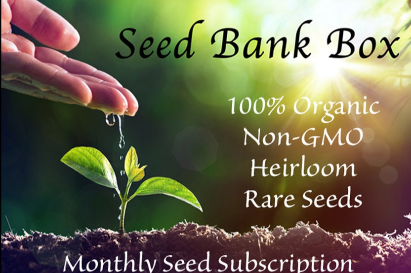 Seed Bank Box