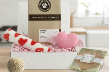 Paws for A Cause - Cat Box includes:
Two cat toys
One Large bag pet treats
One Lagniappe gift for the human