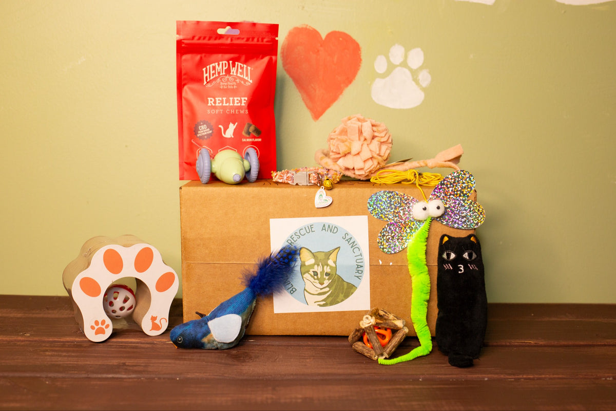 Feral Friends Monthly Cat Box. Spoil Yours. Feed a Feral Cat for 30 Days.