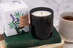 "Intentions" Box ($218+ value) - Ships Immediately!