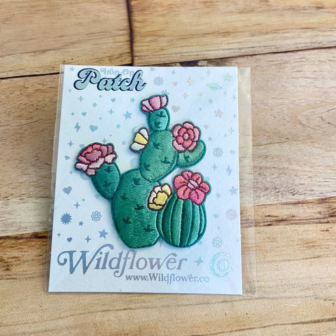 Prickly Pear Cactus Patch