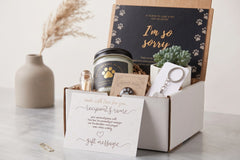 Cat Memorial Gift Box - Pet Loss Sympathy Care Package with Live Succulent & Candle