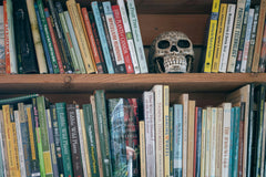 Image with a lot of light of a bookshelf with tens of books and a sticking out skeleton head on the top floor.