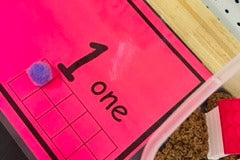 Paws & Play Sensory Box Pet Themed Activities for Kids