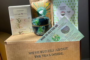 3-month Tea Hive Set