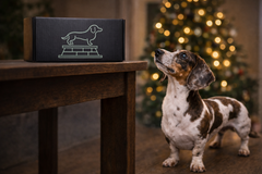The Cult of Wiener dachshund box available as a one-time purchase, highlighting the current monthly theme with curated items for long-dogs.