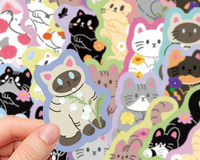 Cat - Are You Kitten Me?