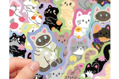         Start with our KITTEN box - then choose from 30 additional box themes for future months!  Modern Cat themed products!