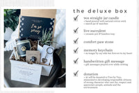 Dog Memorial Gift Box - Pet Loss Sympathy Care Package with Live Succulent & Candle