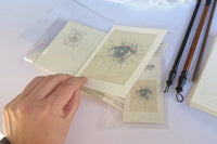 Snail Mail Art & Scent Letter Subscription (Global)