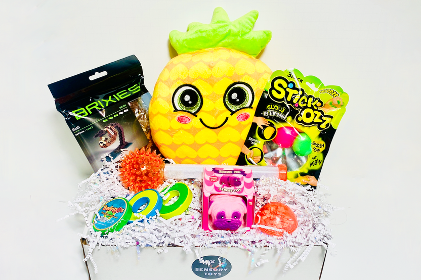 Fidget Toy Box 2026 with Squishy balls, Glow Wand, Brixies Sloth, Magnetic Rings, Squish Dog, Fidget 