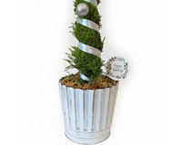 Lemon Cypress Tip Over Tree in Gold Wash Metal Tin