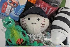 10 piece Mystery VIP Easter gift basket kids teens Boys Girls