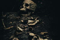 Very close up image of a buried skeleton and a skeleton head buried in the ground with only the tops of it sticking through the ground.