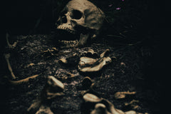 Very close up image of a buried skeleton and a skeleton head buried in the ground with only the tops of it sticking through the ground.