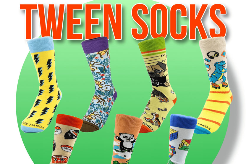 Sock Panda Tween Sock Subscription (Ages 8-11)  -  Two Pairs Each Month