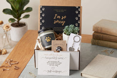 Cat Memorial Gift Box - Pet Loss Sympathy Care Package with Live Succulent & Candle