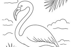 Flamingo coloring page for you to color yourself. Follow the print of color your own version. Line drawing