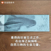 庄子哲学与现代美学碰撞《北冥有鱼》